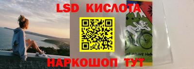 гидра Краснокаменск