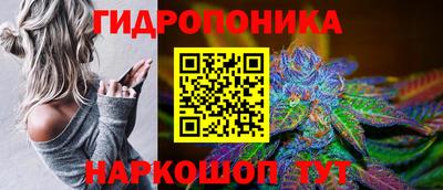 гидра Краснокаменск
