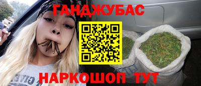 гидра Краснокаменск