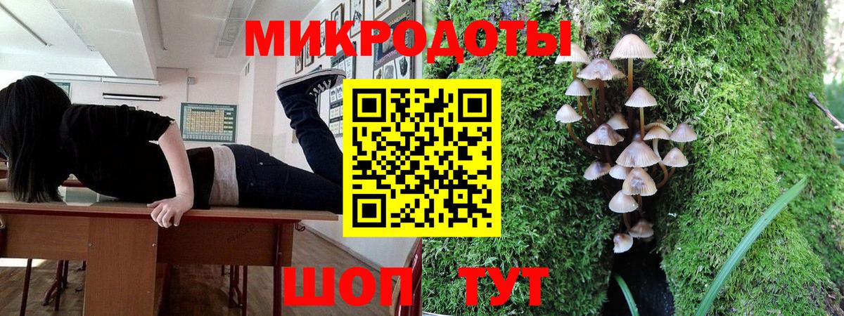 Галлюциногенные грибы прущие грибы Черняховск