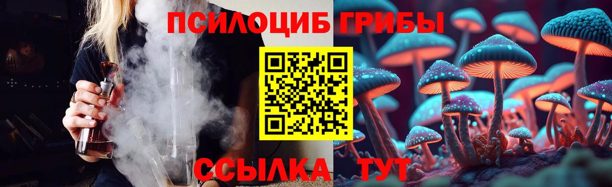Псилоцибиновые грибы мухоморы  Псилоцибиновые грибы Cubensis  Черняховск  Вход с VPN 